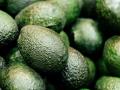 Los agricultores de Málaga solicitan nuevas infraestructuras para aumentar el riego