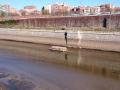 El río Manzanares es el más contaminado por fármacos de Europa