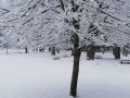 Aemet extiende el aviso amarillo por nevadas en la Sierra hasta las 16 horas