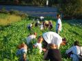 En esta comunidad, todos, niños y mayores, trabajan para todos