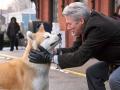 Fotograma de la película Siempre a tu lado. Hachiko