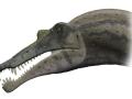 Reconstrucción de la cabeza de un espinosaurio
