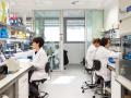 Laboratorio de investigación del Vall d'Hebron