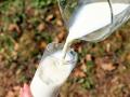 La leche y los productos lácteos se recomiendan en adultos mayores por sus posibles beneficios relacionados con la salud ósea y el control de la presión arterial