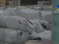Contenedor de Algeciras con ropa falsificada