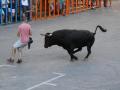 Una imagen de archivo de un momento de los 'bous al carrer'