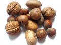 Provide walnuts
