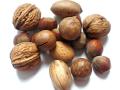 Las nueces aportan