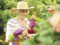 11/07/2018 Mayor, anciana, jardín, jardinería
ESPAÑA EUROPA MADRID SALUD
SANITAS