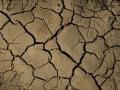 La sequía afecta al campo y llena de incertidumbre a agricultores y ganaderos