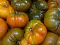 Raff tomatoes