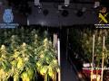 Seis personas detenidas y más de 5 toneladas de marihuana intervenidas en un operativo policial