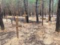 Más de 400 tumbas aparecieron en un bosque cercano a la ciudad de Izium