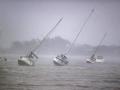 Los veleros anclados en la bahía de Roberts son arrastrados por los rápidos vientos