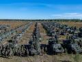 Espectacular panorámica del Grupo de batalla de la OTAN en Letonia al completo, personal y vehículos, que han desarrollado sus capacidades de coordinación durante las maniobras Silver Arrow.