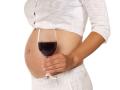 Una embarazada con una copa de vino en la mano