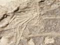 Primer registro fósil de un dinosaurio comiéndose a un mamífero

Paleontólogos presentan en la revista Journal of Vertebrate Paleontology el primer caso conocido en el registro fósil de "un dinosaurio comiéndose un mamífero".

SOCIEDAD INVESTIGACIÓN Y TECNOLOGÍA
ALEX DECECCHI /MOUNT MARTY COLLEGE