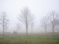 Dos mujeres pasean bajo la niebla en Vitoria, en el que el frío se ha dejado notar de nuevo con intensidad
