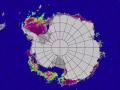 Mapa del 3 de enero de 2023 en el que se muestra una gran polinia que ahora abarca el mar de Ross y gran parte del mar de Amundsen occidental, así como polinias que han aparecido en la bahía de Pine Island y el sureste del mar de Weddell.
SOCIEDAD INVESTIGACIÓN Y TECNOLOGÍA
UNIVERSITY OF BREMEN