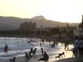 Centenares de personas se bañan en la playa, en Palma