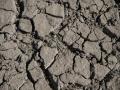 Imágenes de la sequía en el pantano de Sau, en Barcelona