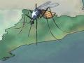 Ilustración mosquito Cataluña
