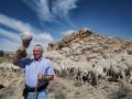 El pastor José Manuel García con sus ovejas en el campo de Belchite, Zaragoza