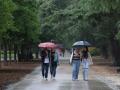Varias personas pasean por el parque de El Retiro mientras llueve