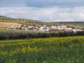 La aldea bujalanceña de Morente, rodeada de olivos y otras tierras de cultivo, donde se instalará parte de la planta solar proyectada