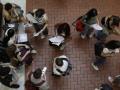 Un grupo de estudiantes esperan para entrar en las aulas de la Universidad Pompeu Fabra para realizar la Selectividad