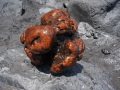 Piedra de ámbar gris encontrada en el interior del cachalote varado