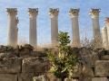Columnas del Templo Romano