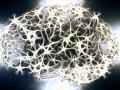 Muchas personas padecen la enfermedad del Alzheimer
