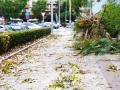 La borrasca Bernard en Córdoba