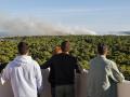 Varias personas contemplan las labores de extinción del último incendio en El Saler, Valencia