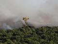 Un hidroavión arroja agua sobre las llamas del último incendio en El Saler