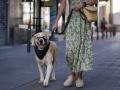 Una mujer pasea a su perro el día que entró en vigor la Ley del Bienestar Animal