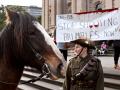 Un caballo en medio de una protesta que pide que se dejen de matar los 'brumbies'