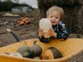 Pasar un día en el campo recogiendo calabazas, castañas o setas