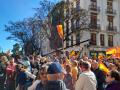 Numerosas banderas españolas en la concentración de Valencia