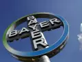 Las acciones del grupo químico y farmacéutico alemán Bayer llegaban a hundirse este lunes hasta un 21,3% en la Bolsa de Fráncfort