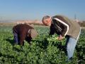 Agricultores trabajando en el campo de Madrid