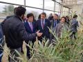 El Gobierno solicita el reconocimiento internacional para el Banco Mundial de Germoplasma del Olivo de Córdoba.