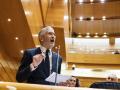 El ministro del Interior, Fernando Grande-Marlaska, interviene durante una sesión plenaria en el Senado