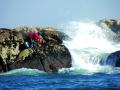 Un bateeiro extrayendo mejillón de las rocas