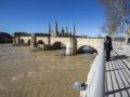Dos personas observan la crecida del río Ebro a su paso por Zaragoza