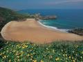 Playa Torimbia (Asturias)