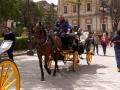 Imágenes de turistas y visitantes en las calles, bares, restaurantes y hoteles de Sevilla durante la Semana Santa de 2024