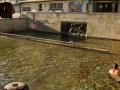 Piscina Termal As Burgas en Orense