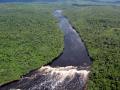 La biodiversidad venezolana está en peligro por los efectos del cambio climático